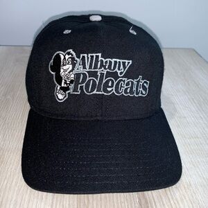VINTAGE Albany Polecats Baseball Snapback Hat DeLong Minor League Team
